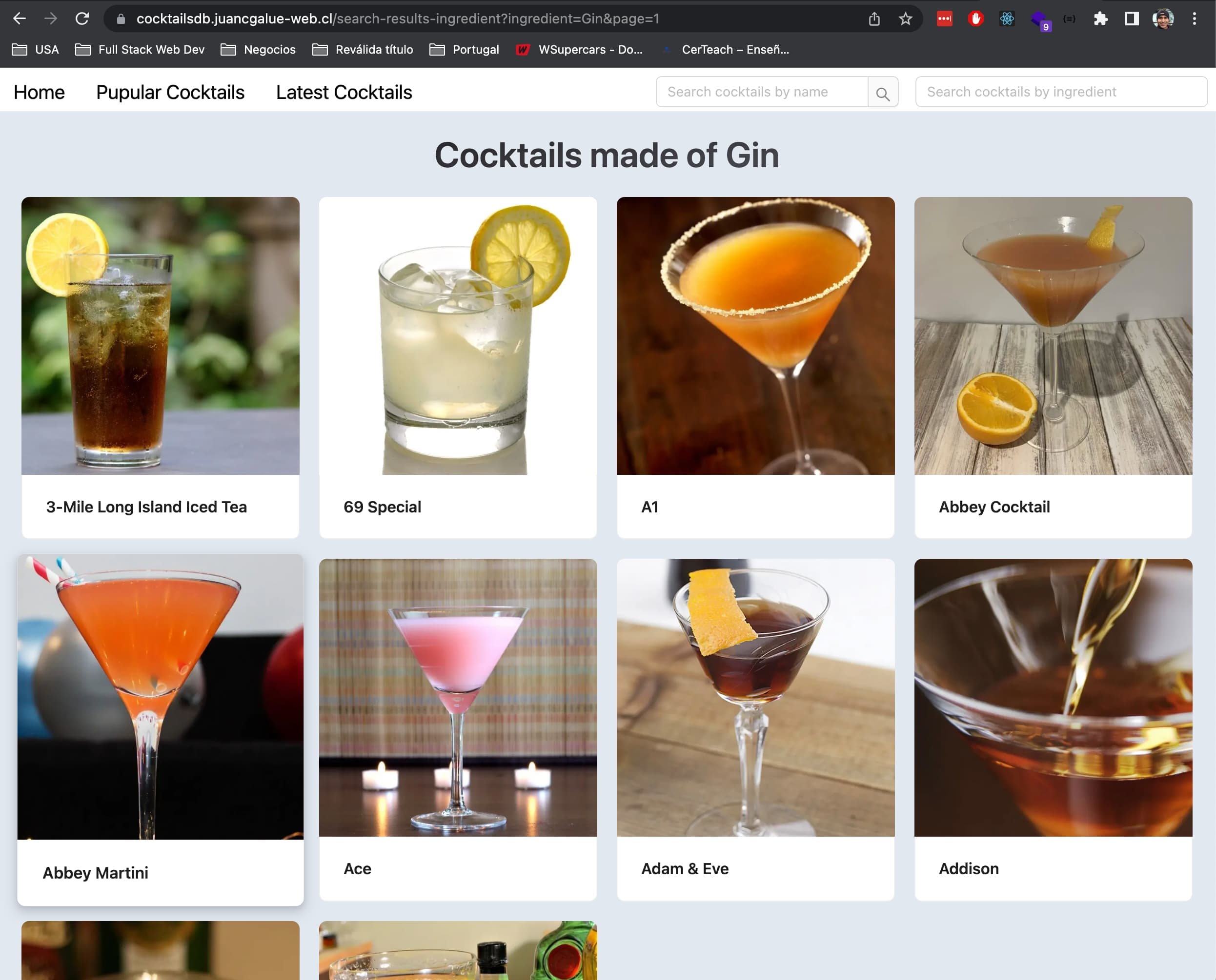 cocktail demo app pic 2